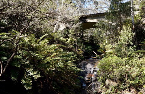 Leura Cascades Picnic Area - Accommodation Melbourne 1