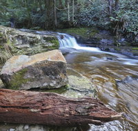 Liffey Falls Reserve - Accommodation Melbourne