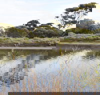 Onkaparinga River Recreation Park - Accommodation Melbourne