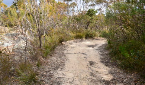 Red Rocks Trig Walking Track - Accommodation Melbourne 0