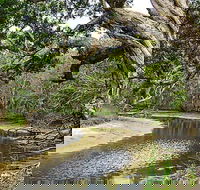 Saltwater National Park - Accommodation Melbourne