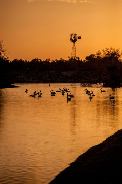 Thomson River, Longreach - Accommodation Melbourne 2