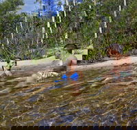 Tjaynera Falls Sandy Creek - Accommodation Melbourne