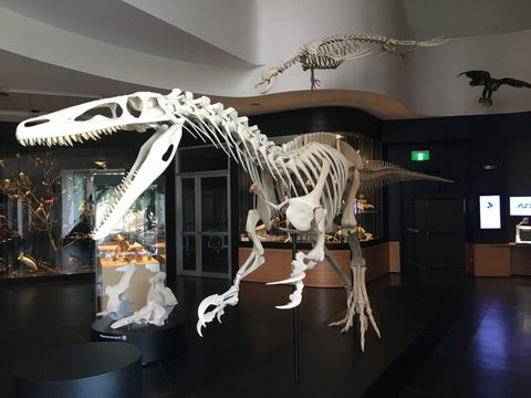 UNE Natural History Museum - Accommodation Melbourne 0