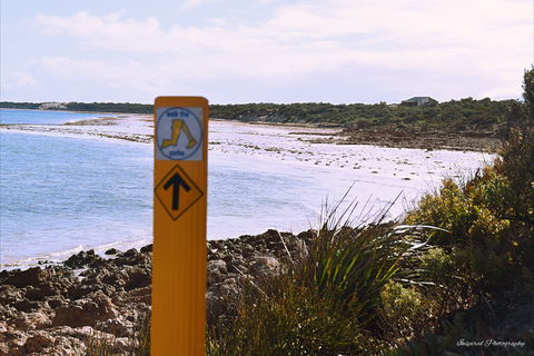 Walk The Yorke Trail - Accommodation Melbourne 2