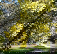 Wattle Park - Accommodation Melbourne