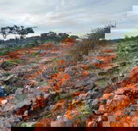Western Ridge Walk - Accommodation Melbourne