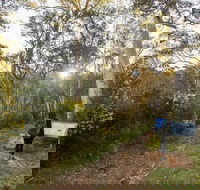 Yarrangobilly Caves  River walk - Accommodation Melbourne