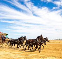 7 Day Outback Giants