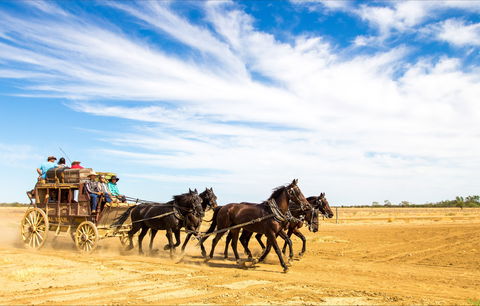 7 Day Outback Giants - Accommodation Melbourne 0