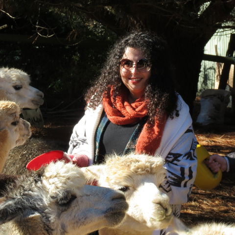 Alpaca Farm Experience At Crookwell - Accommodation Melbourne 1
