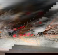 Australian Fly Fishing Museum - Accommodation Melbourne