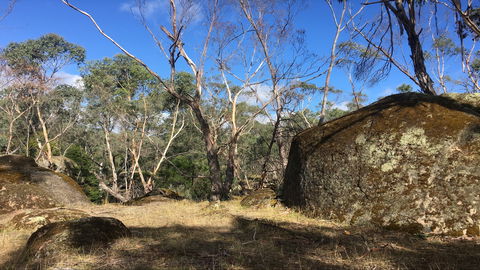 Bailey's Rocks - Dergholm State Park - Accommodation Melbourne 0
