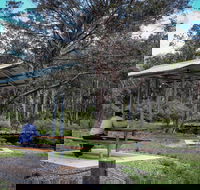 Barrington Tops State Forest - Accommodation Melbourne