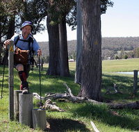 Bibbulmun Track Kalamunda to Albany - Accommodation Melbourne
