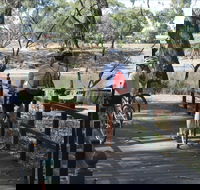 Bidgee Riverside Trail  - Hay Nature Walk - Accommodation Melbourne