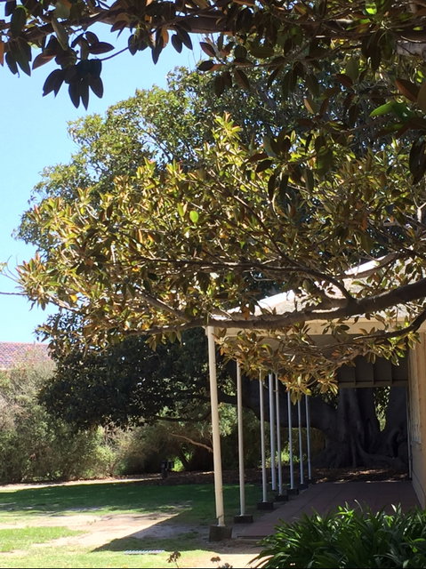 Black Rock House - Accommodation Melbourne 1