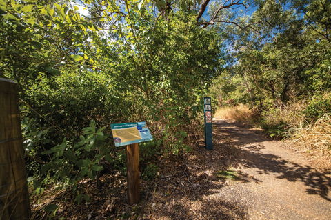 Bluff Point Circuit, Capricorn Coast National Park - Accommodation Melbourne 1
