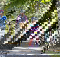 Bright to Wandiligong 5.5km - Accommodation Melbourne