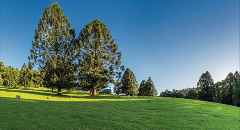 Bunya Mountains National Park - Accommodation Melbourne 0