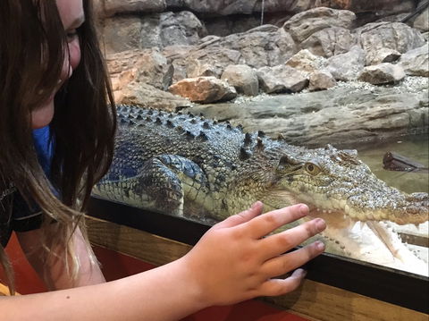 Canberra Reptile Zoo - Accommodation Melbourne 0