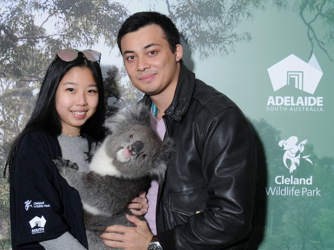 Cleland Wildlife Park - Koala Hold - Accommodation Melbourne 0