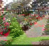 Cowra Rose Garden - Accommodation Melbourne