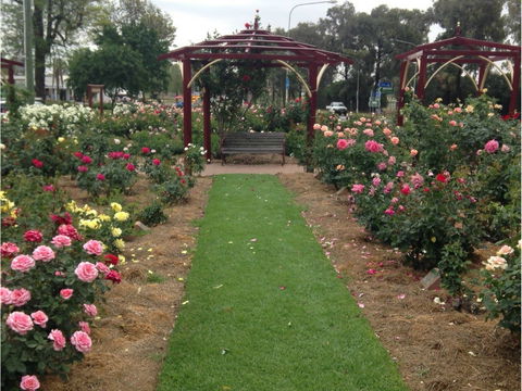 Cowra Rose Garden - Accommodation Melbourne 1