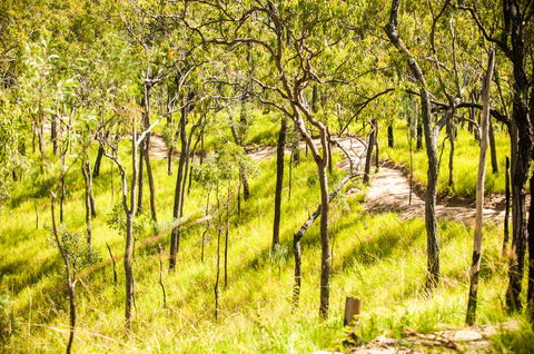 Davies Creek Mountain Bike Park - Accommodation Melbourne 0