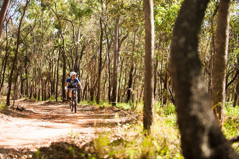 Davies Creek Mountain Bike Park - Accommodation Melbourne 1