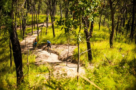 Davies Creek Mountain Bike Park - Accommodation Melbourne 2