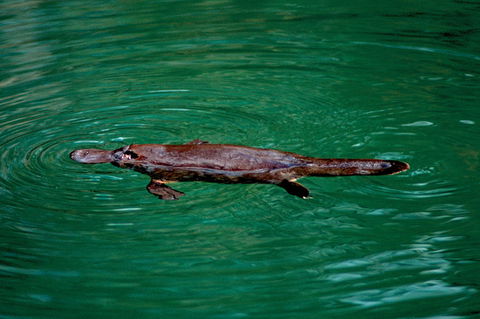 Explore The Mackay Region In One Day - Accommodation Melbourne 1