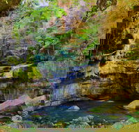 Glimpse of the Outback 5 Day Tour - Roma and Surrounds - Accommodation Melbourne