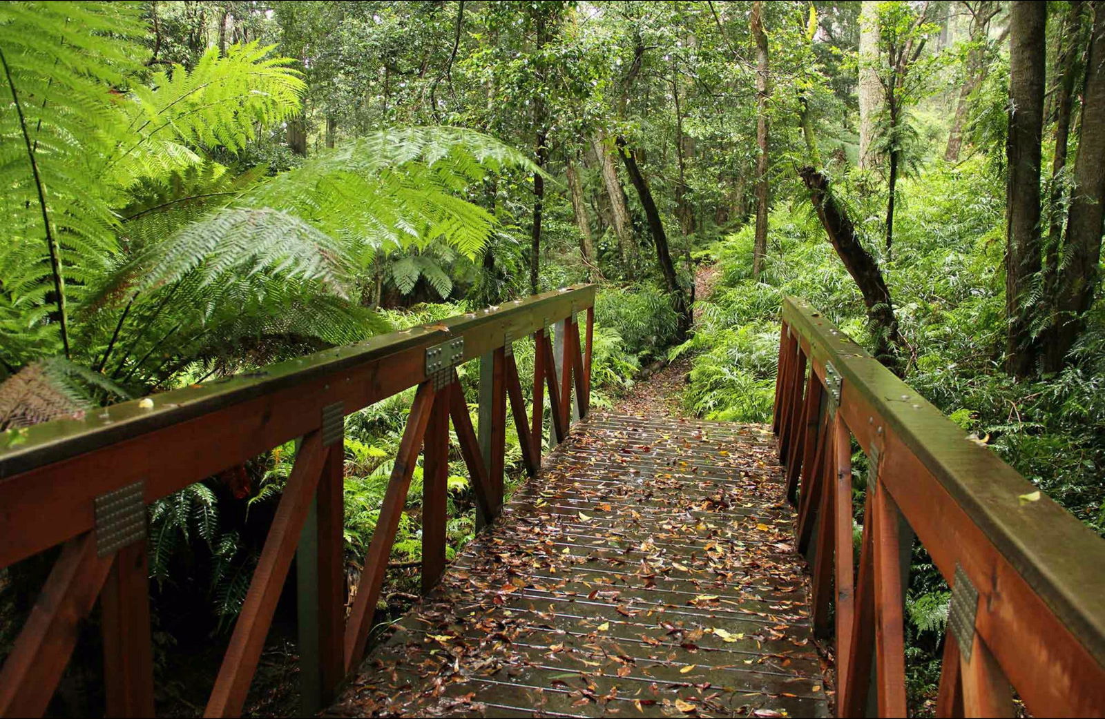 South Wolumla NSW Accommodation Melbourne