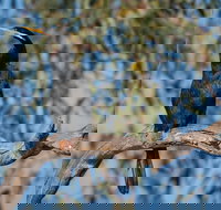 Greenough River Nature Trail - Accommodation Melbourne