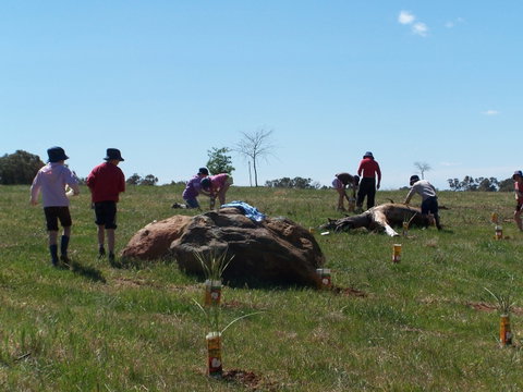 Jim Salmon  Wetland Education Site - Accommodation Melbourne 0