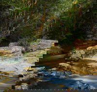 Jumrum Creek Walk Jumrum Creek Conservation Park - Accommodation Melbourne