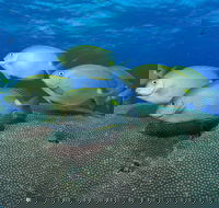 Lodestone Reef - Accommodation Melbourne