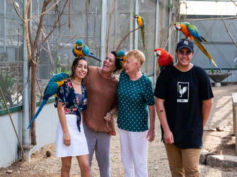 Maleny Botanic Gardens And Bird World - Accommodation Melbourne 0
