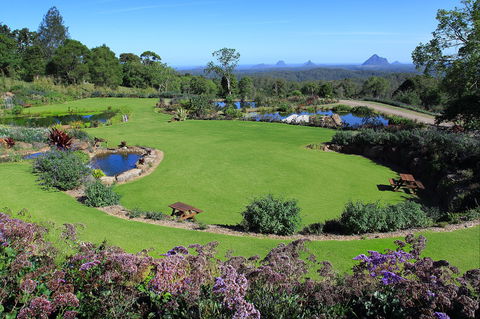 Maleny Botanic Gardens And Bird World - Accommodation Melbourne 2