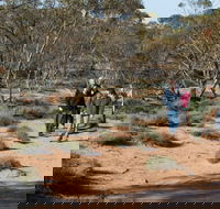 Mallee Stop walking track - Accommodation Melbourne