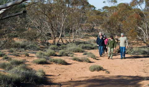 Mallee Stop Walking Track - Accommodation Melbourne 0