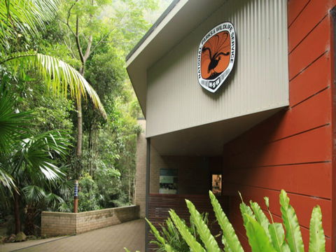 Minnamurra Rainforest Centre: Budderoo National Park - Accommodation Melbourne 0