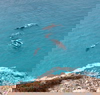 Nullarbor National Park - Accommodation Melbourne