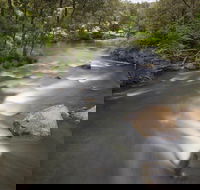 Nymboi-Binderay National Park - Accommodation Melbourne