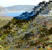 Patonga to Pearl Beach Walking Track - Accommodation Melbourne