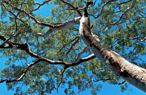 Ridge Walking Track - Accommodation Melbourne 0