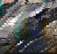 Skirmish Sunshine Coast Outdoor Paintball - Accommodation Melbourne