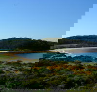 Snorkelling Broulee Island - Accommodation Melbourne