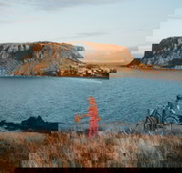 The Nut - Accommodation Melbourne